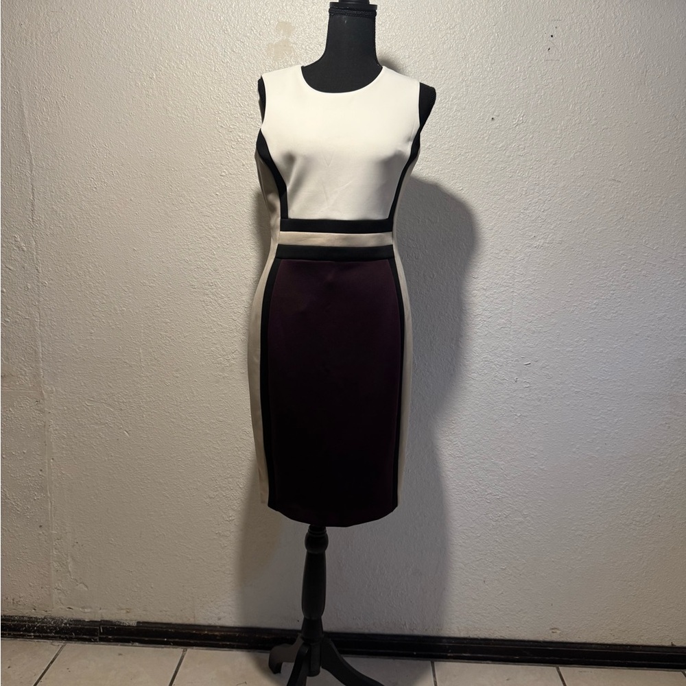 Elegant Two-Tone Sleeveless Dress